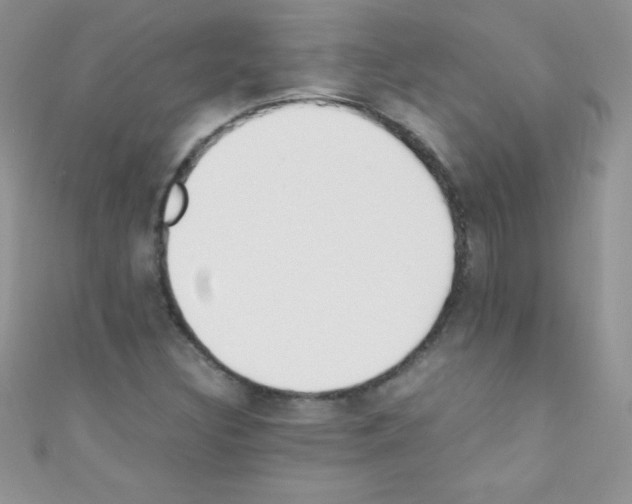X0000110731308200907241219
