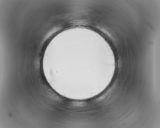 X0000110731309200907241219