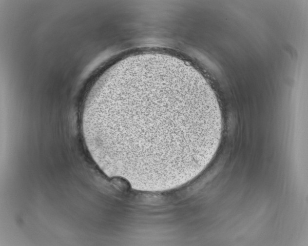 X0000110731310200907241219
