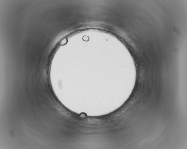 X0000110731312200907241219
