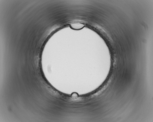 X0000110731313200907241219