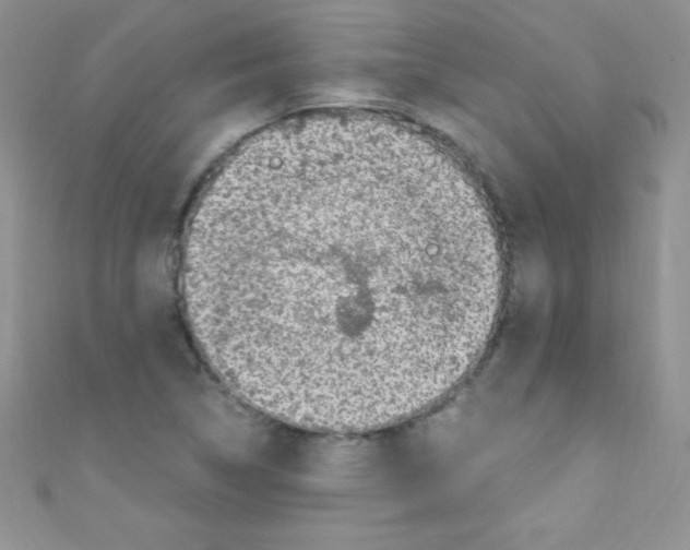 X0000110731314200907241219