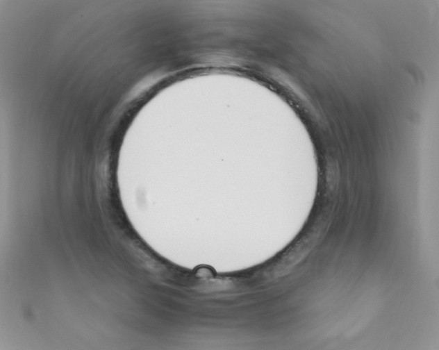 X0000110731315200907241219