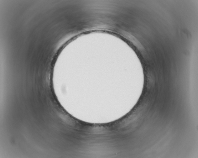 X0000110731316200907241219