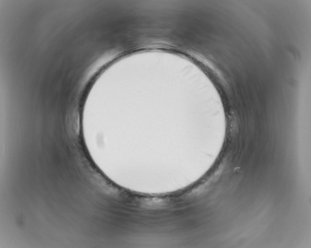 X0000110731317200907241219
