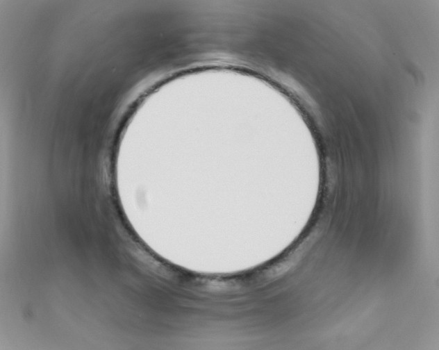 X0000110731318200907241219