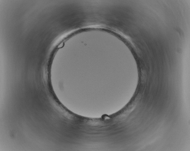 X0000110731319200907241219