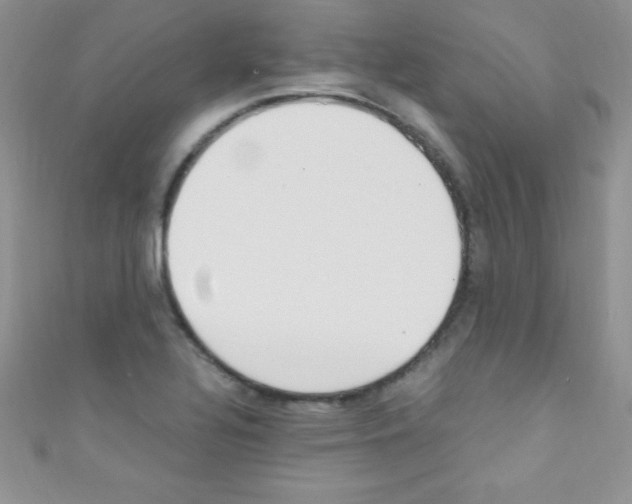X0000110731320200907241219