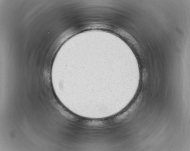 X0000110731321200907241219
