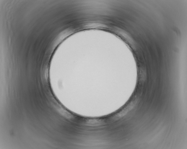 X0000110731322200907241219
