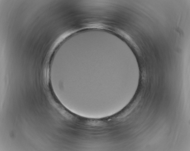 X0000110731323200907241219