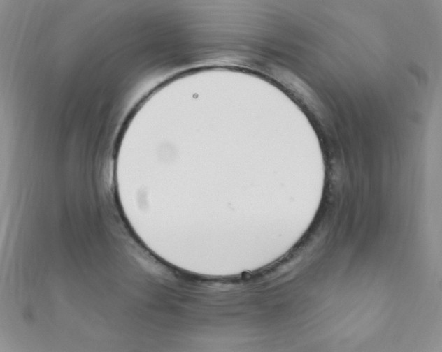 X0000110731324200907241219