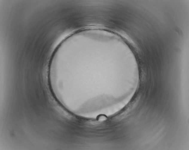 X0000110731325200907241219