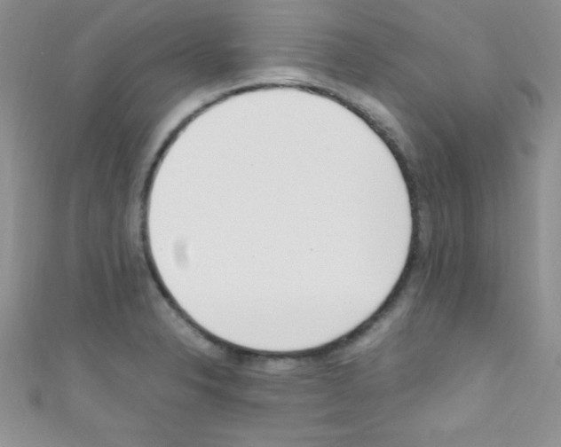 X0000110731326200907241220
