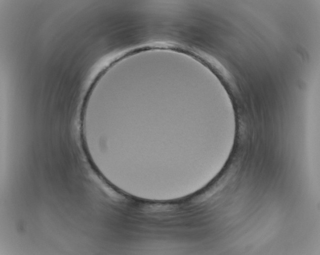 X0000110731327200907241220
