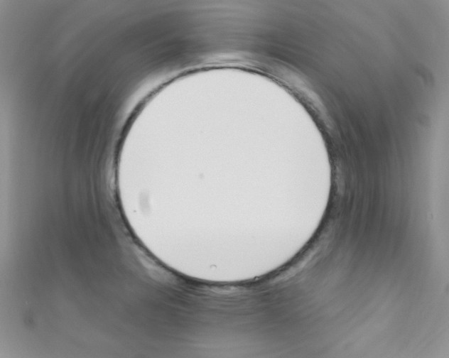 X0000110731328200907241220