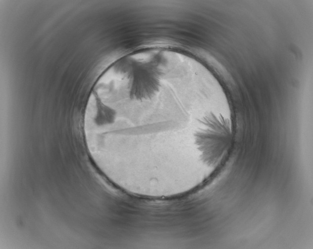 X0000110731329200907241220