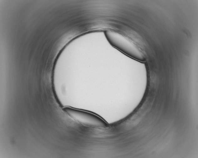 X0000110731330200907241220