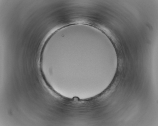X0000110731331200907241220