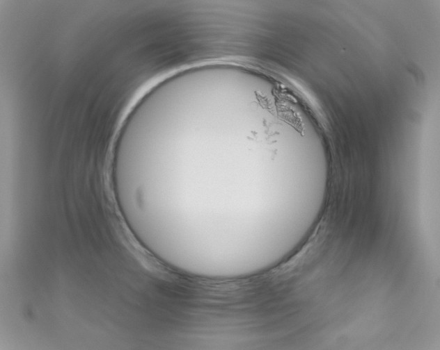 X0000110731332200907241220