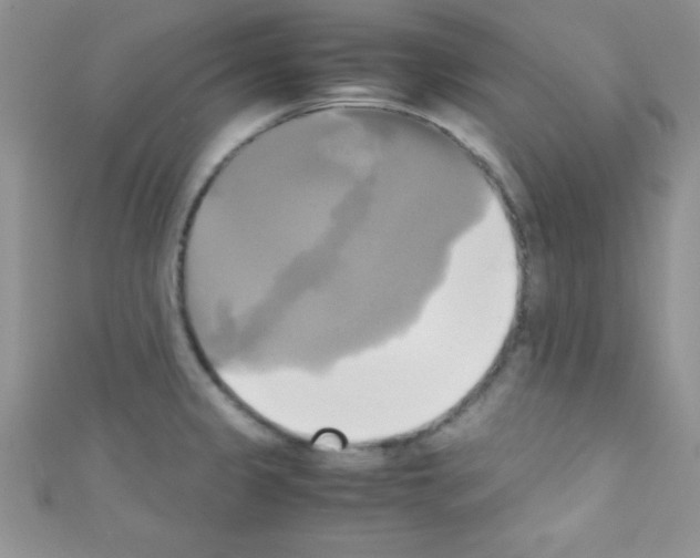 X0000110731333200907241220