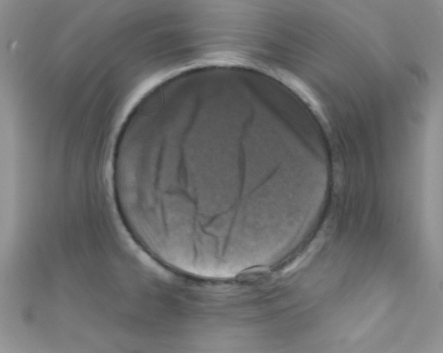 X0000110731334200907241220