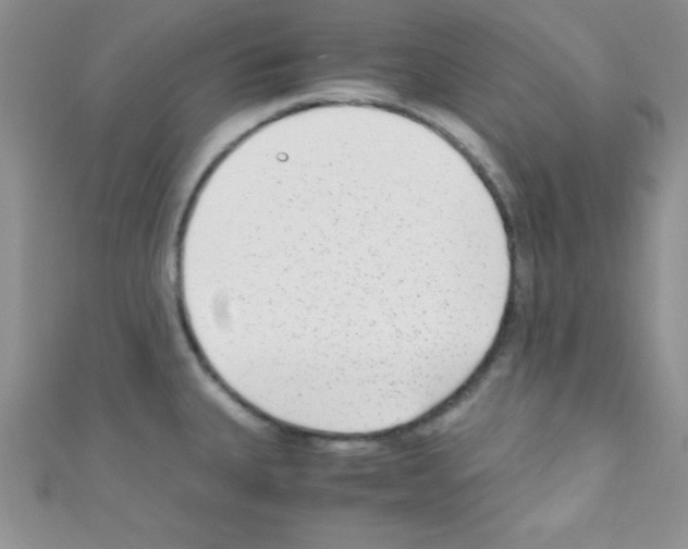 X0000110731335200907241220