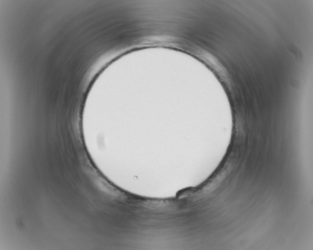 X0000110731336200907241220