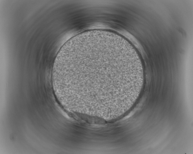 X0000110731337200907241220