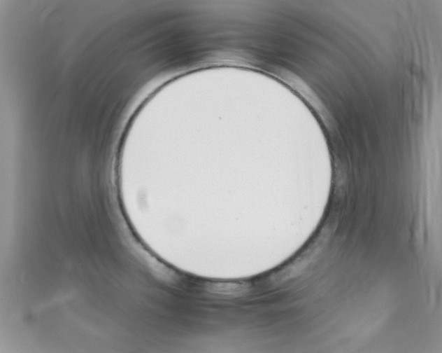 X0000110731339200907241220