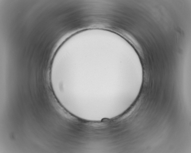 X0000110731340200907241220