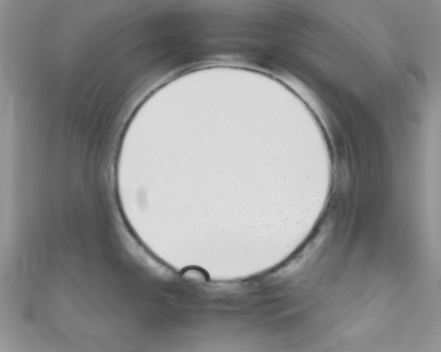 X0000110731341200907241220