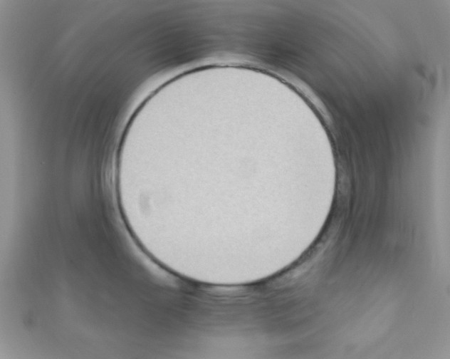 X0000110731343200907241220