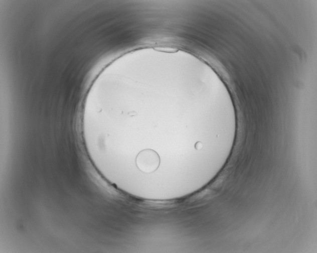 X0000110731344200907241220