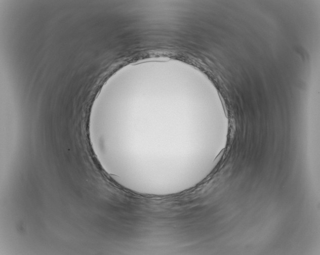 X0000110731345200907241219