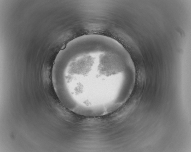 X0000110731346200907241219