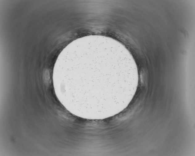 X0000110731347200907241219