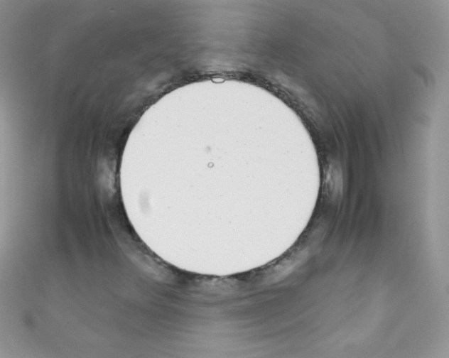 X0000110731348200907241219