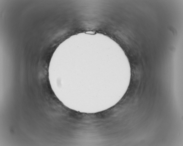 X0000110731349200907241219
