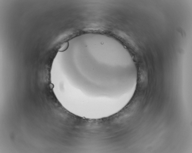 X0000110731350200907241219