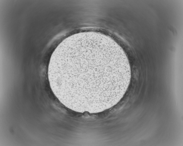 X0000110731351200907241219