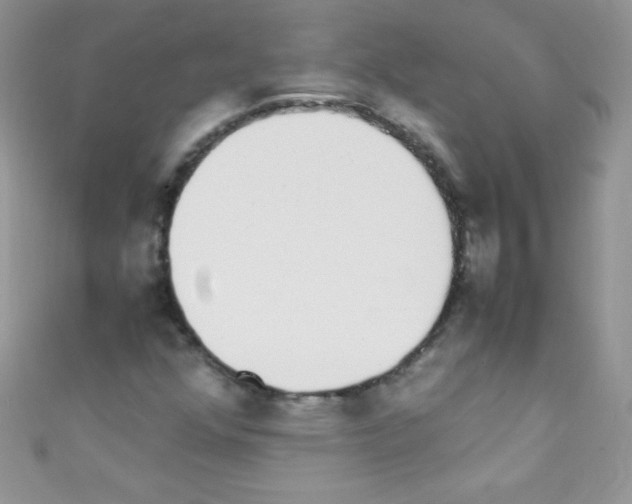X0000110731352200907241219