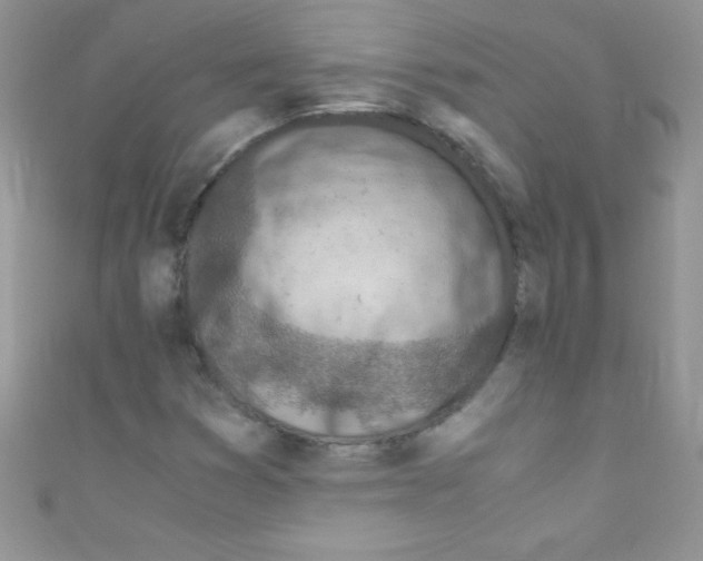 X0000110731353200907241219