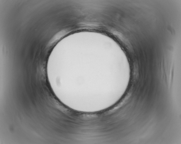 X0000110731354200907241219