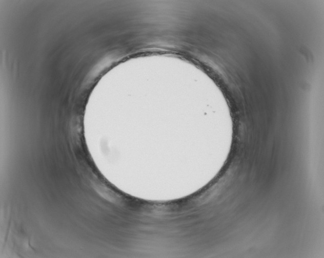 X0000110731355200907241219