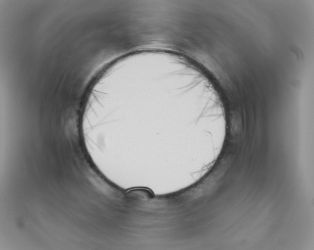 X0000110731356200907241219