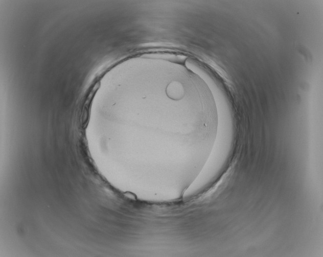 X0000110731357200907241219
