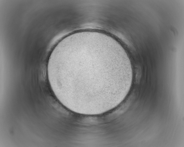 X0000110731358200907241219