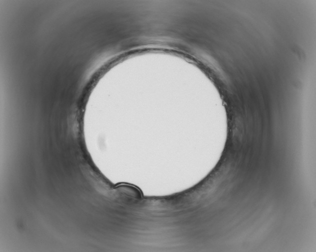 X0000110731360200907241219