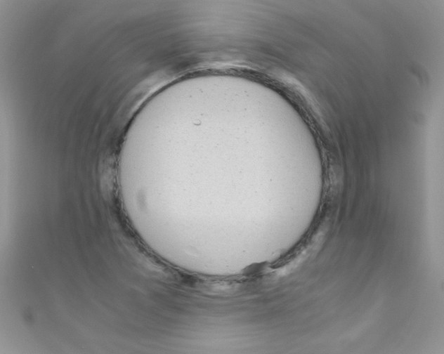 X0000110731361200907241219
